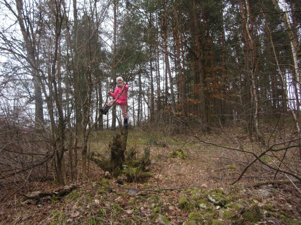 Gospodarstwo Agroturystyczno-Edukacyjne Gratka Celiny  ภายนอก รูปภาพ